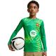 4. Nike FC Barcelona Stadion Torwarttrikot 2026/27 Kinder Grün II3610 324