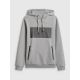 7. Herren-Kapuzenpullover, regulär, Größe 4F 4FRSS26TSWSM2975-20S