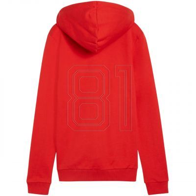 2. Puma Team Goal Casuals Hoody W 658621 01