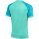2. Nike Dri-FIT TrophyVI Herren-T-Shirt Türkis HV8151 354
