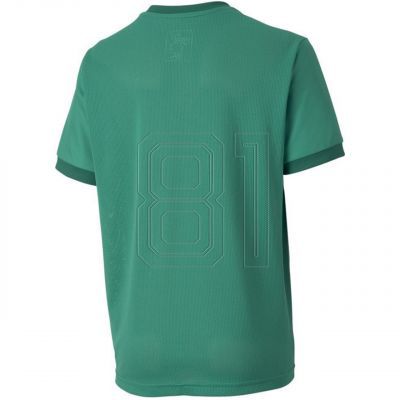 3. Puma teamGOAL 23 Trikot Jr 704160 05