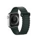 2. Dux Ducis Strap (Armor Version) Armband Apple Watch Ultra, SE, 9, 8, 7, 6, 5, 4, 3, 2, 1 (49, 45, 44, 42 mm) Silikon Magnetarmband Armband grün
