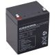 EUROPOWER EP Serie 12V 5Ah T1 AGM Batterie (Lebensdauer 6-9 Jahre)