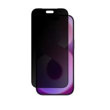 AmazingThing Radix +Care Sichtschutzglas für iPhone 18 Pro mit Montagerahmen