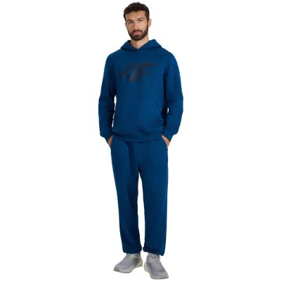 7. Herren Sweatshirt 4F M1766 Seegrün 4FWMM00TSWSM1766 46S