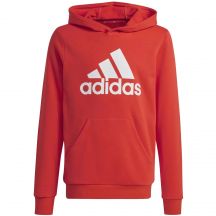 Adidas Big Logo Hoodie Jr IX9531 sweatshirt