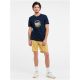 Herren-T-Shirt Protest PRTSHARM