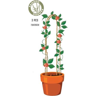 24. Bambus-Pflanzenstützbogen 78 cm 3 Stück Progarden
