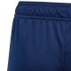 4. adidas Tiro 24 Training Jr IS1003 Shorts