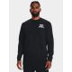 3. Under Armour M 1379764-001 Sweatshirt