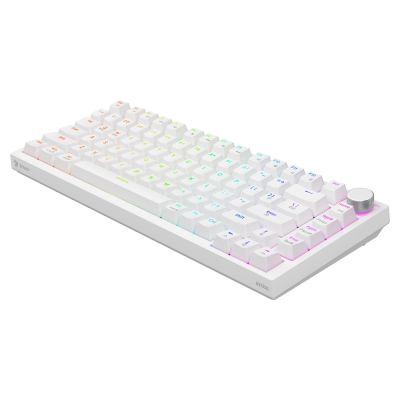 9. SAVIO MECHANISCHE TASTATUR ASTRAL WHITE OUTEMU WHITE JADE RGB