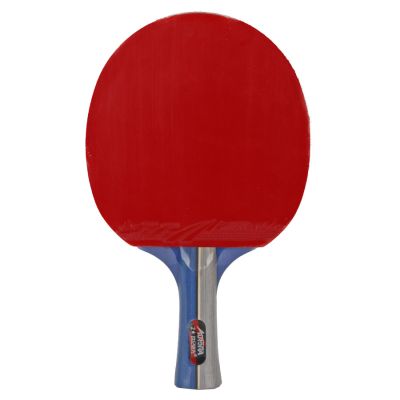 3. Tischtennisschläger Aurora PRO 2* SG 2002