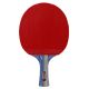 3. Tischtennisschläger Aurora PRO 2* SG 2002