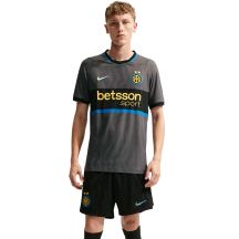 Herren-Trikot Nike Inter Mailand Match 2026/27 Grau II6640 069