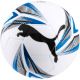 2. Puma Catball 0832920 2 Fußball