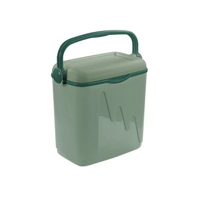 Grüner Reisekühlschrank 20L 262272 CURVER