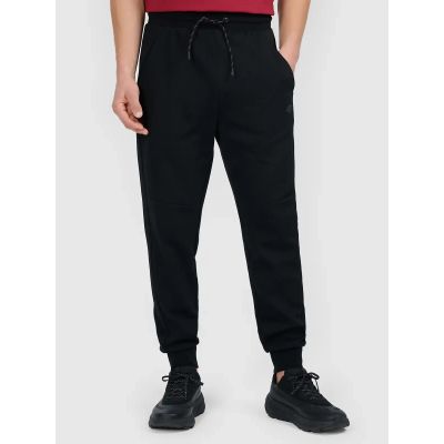 Herren-Jogginghose 4F 4FWMM00TTROM1676-20S