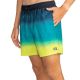3. Billabong All Day Fade 16" Shorts EBYJV00121-BLK Grün L