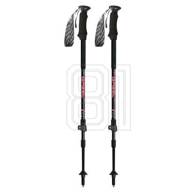 Gabel ESCAPE CARBON Lite TOUR AI 7008472300000 Stöcke