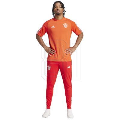 5. Adidas FC Bayern CO Tee M IQ0601