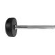26. Gummierte Festhantel/Stange HMS 40 kg GSG-40 