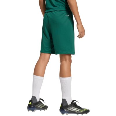 3. adidas Entrada 26 Kinder-Shorts grün KE9831