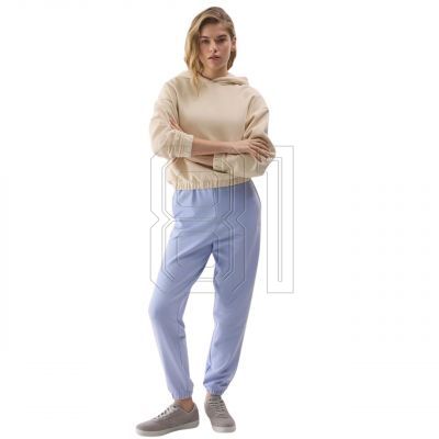 4. Sweatshirt 4F W 4FWSS24TSWSF1057 12S
