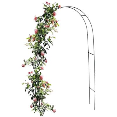 6. Kinzo Rosen Pergola-Tor