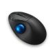 4. Kensington Pro Fit Ergo TB450 Büromaus, kabellos (RF) + Bluetooth, Trackball, 1600 DPI