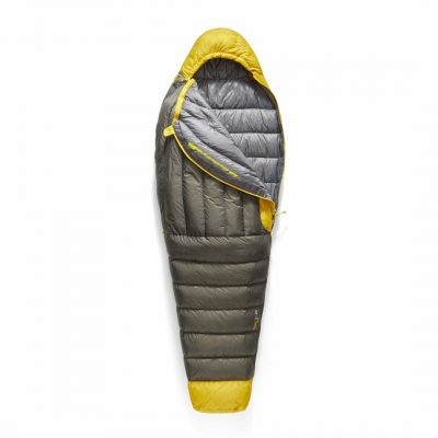 SEA TO SUMMIT Spark 7C/45F Daunenschlafsack - R