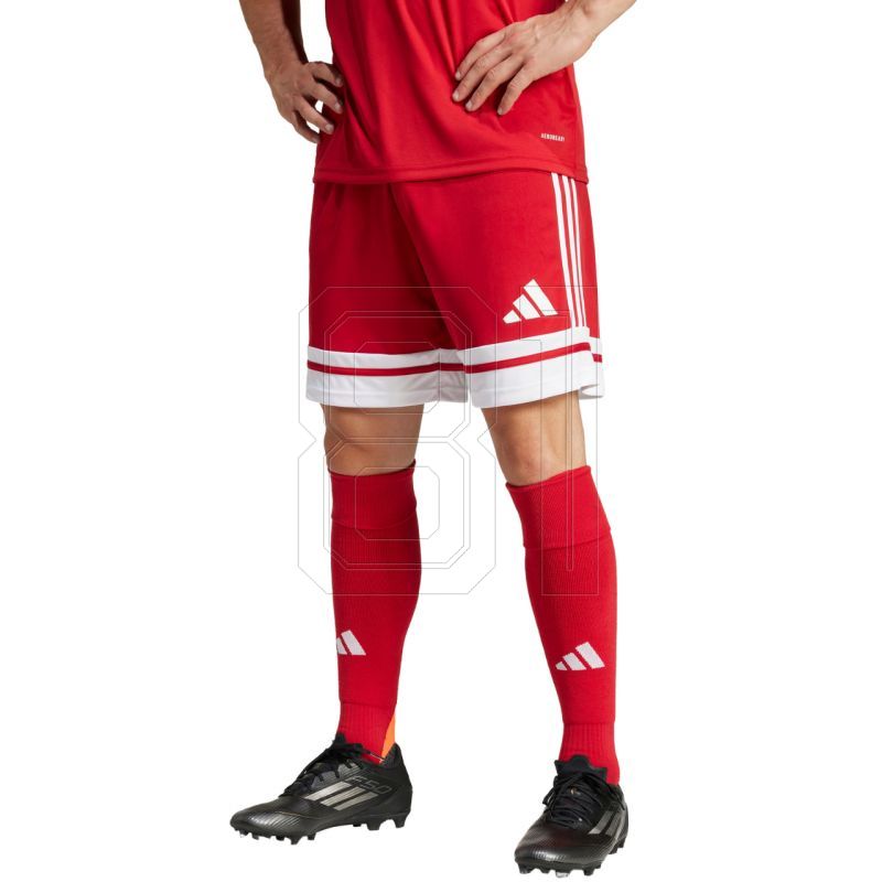 3. adidas Squadra 25 M JE7745 Shorts
