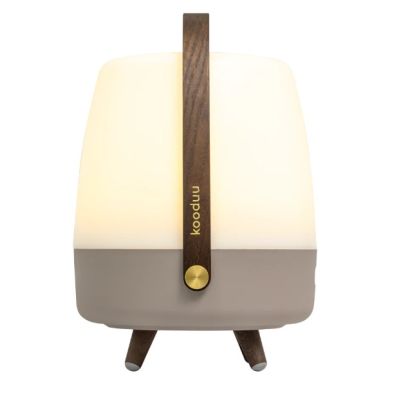 3. Koody Lite-up Play 2.0 Earth Tragbare LED-Lampe mit integriertem JBL-Lautsprecher