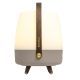 3. Koody Lite-up Play 2.0 Earth Tragbare LED-Lampe mit integriertem JBL-Lautsprecher