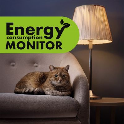 10. GREENBLUE Energiezähler, Wattmeter, 16 A, max. 3680 W, Speichersicherung GB620 E