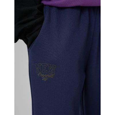 5. Jungen-Jogginghose im Jogger-Stil 4F 4FJRAW26TTROM2107-31S