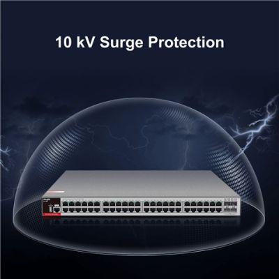 3. Ruijie L2+ Managed Switch | 48 x 1-Gbit-Ports + 4 x 2,5-Gbit-SFP-Ports | 2 Lüfter, 1 integriertes Netzteil | Rackmontage