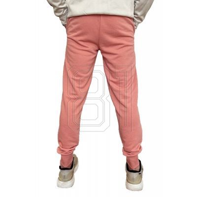 3. Puma Ess+ 2 Col Logo Pants M 586768 62