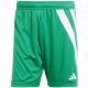 Herren adidas Fortore 23 Shorts grün und weiß IQ3209