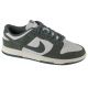 Nike Dunk Low W HJ7673-002 Schuhe