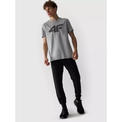 5. T-Shirt 4F M 4FAW23TTSHM0877-27M