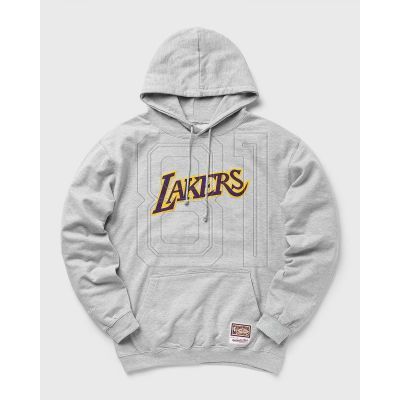 5. Mitchell & Ness Team Logo Hoody Los Angeles Lakers M HDSSINTL1050-LALGREY