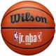 Wilson Jr NBA Logo Auth Outdoor-Basketball WZ3011801XB6