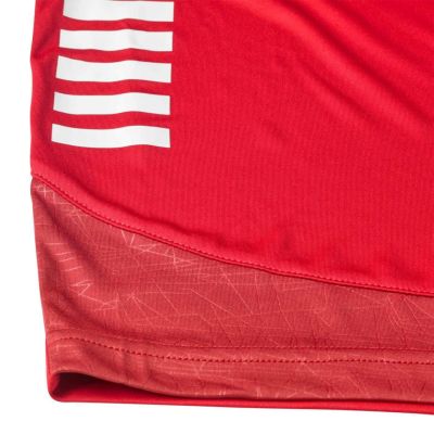 2. SELECT SPAIN v25 Fußballshorts rot
