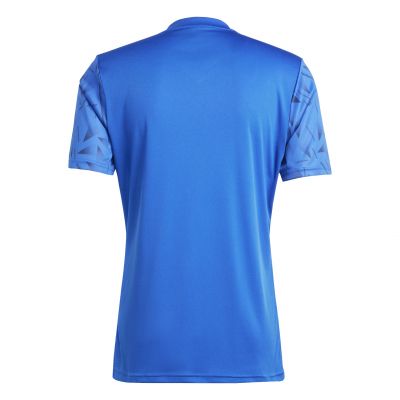 2. adidas Team Icon 25 M T-Shirt JG3550