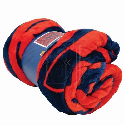 3. Deckenlogo des FC Barcelona 121685