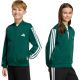 adidas Essentials Climacool Grünes Kinder-Sweatshirt KR2147
