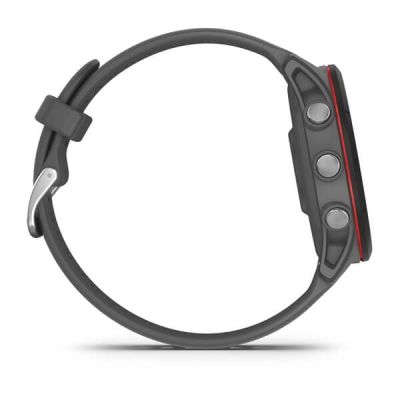 12. Garmin Forerunner 255 Schiefergraue Uhr