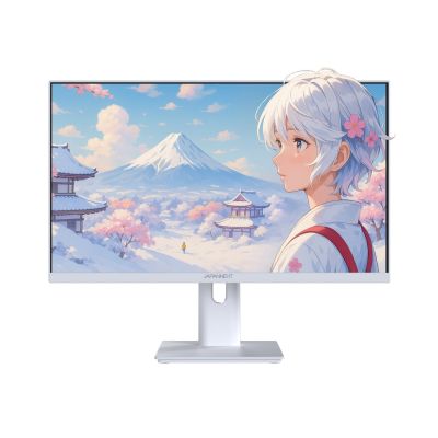 2. Monitor JAPANNEXT 60,5 cm JN-I238FHD120F-HSP-W 16:9 HDMI weiß FHD