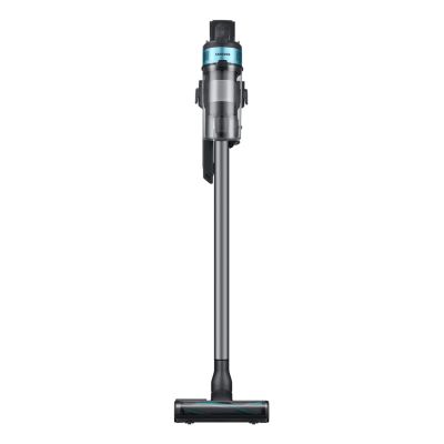 49. Samsung Jet75E Pet VS20B75AGR1/GE Bodenstaubsauger