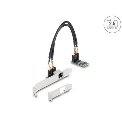 2. DeLOCK M.2-Konverter mit Key B+M 1 x RJ45 2,5 Gigabit LAN